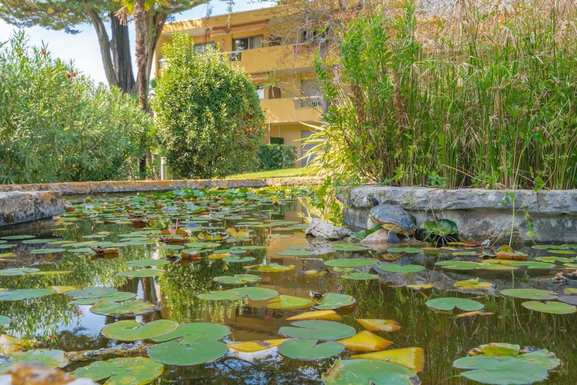 Les 15 Pins & La Mer -Your Green Getaway Near Sea & Beach Антіб Екстер'єр фото